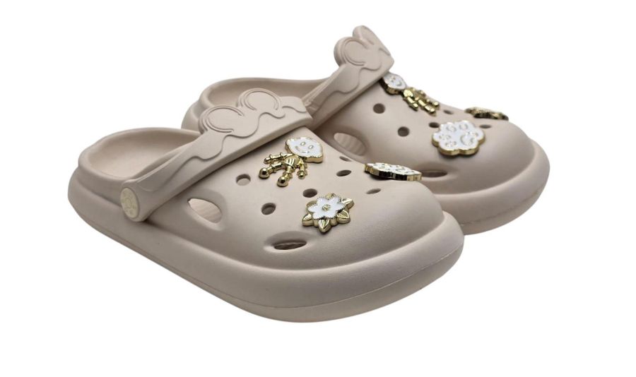 MCAN202F 519 MCAN202F 519