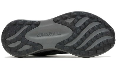 MORPHLGTXE 001 - Thumbnail