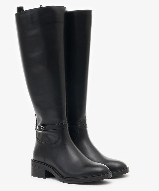 RGN66317 001 RGN66317 001